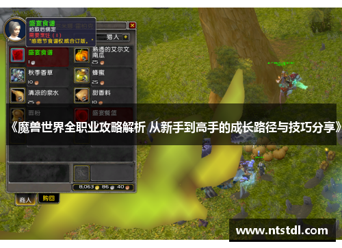 《魔兽世界全职业攻略解析 从新手到高手的成长路径与技巧分享》