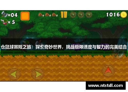 仓鼠球冒险之旅：探索奇妙世界，挑战极限速度与智力的完美结合